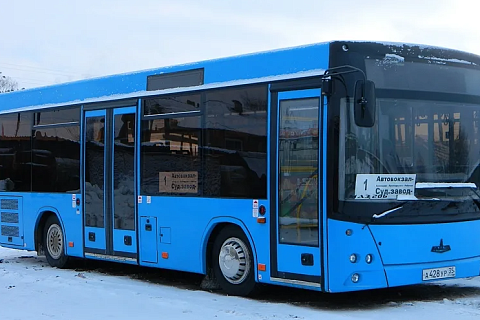 Автобус МАЗ 206047